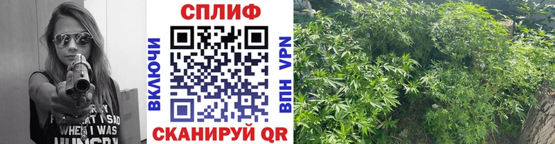 Наркошоп купить МАРИХУАНА  АМФ  Гашиш  Псилоцибиновые грибы  Меф  Богданович
