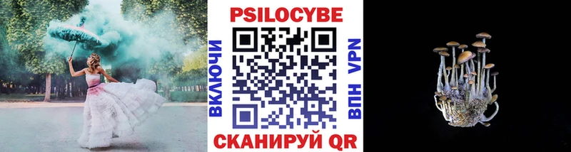 Купить  Богданович  Псилоцибиновые грибы мицелий 